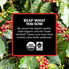 Espresso Roast + Valhalla Java Bundle